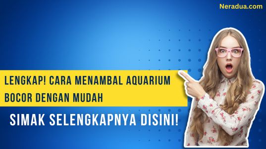 cara ngelem aquarium