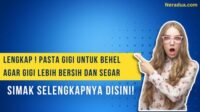 pasta gigi untuk behel